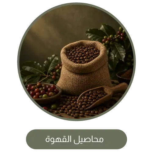 collection-img